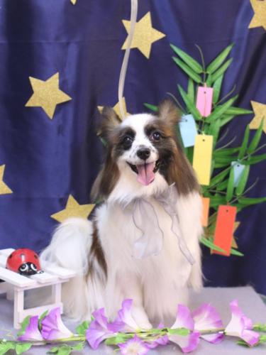 20230709マリーちゃん